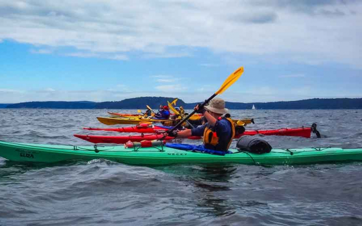 a group of kayakers navigate calm water 